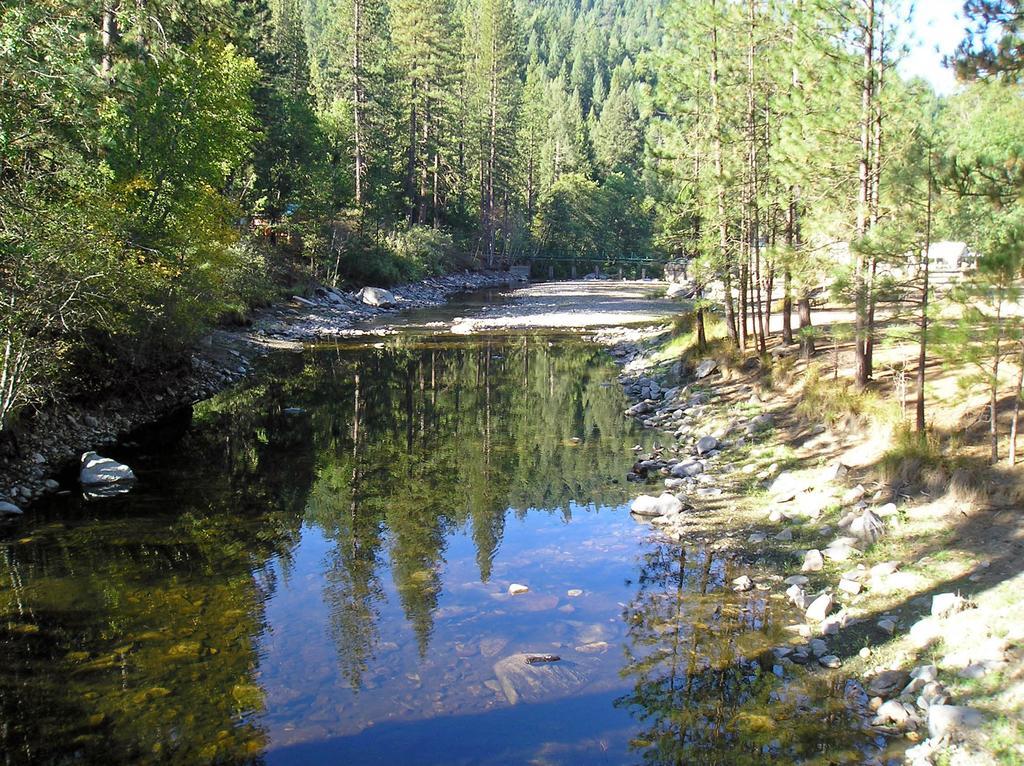 Yosemite Lakes Cabin 40 Harden Flat المظهر الخارجي الصورة